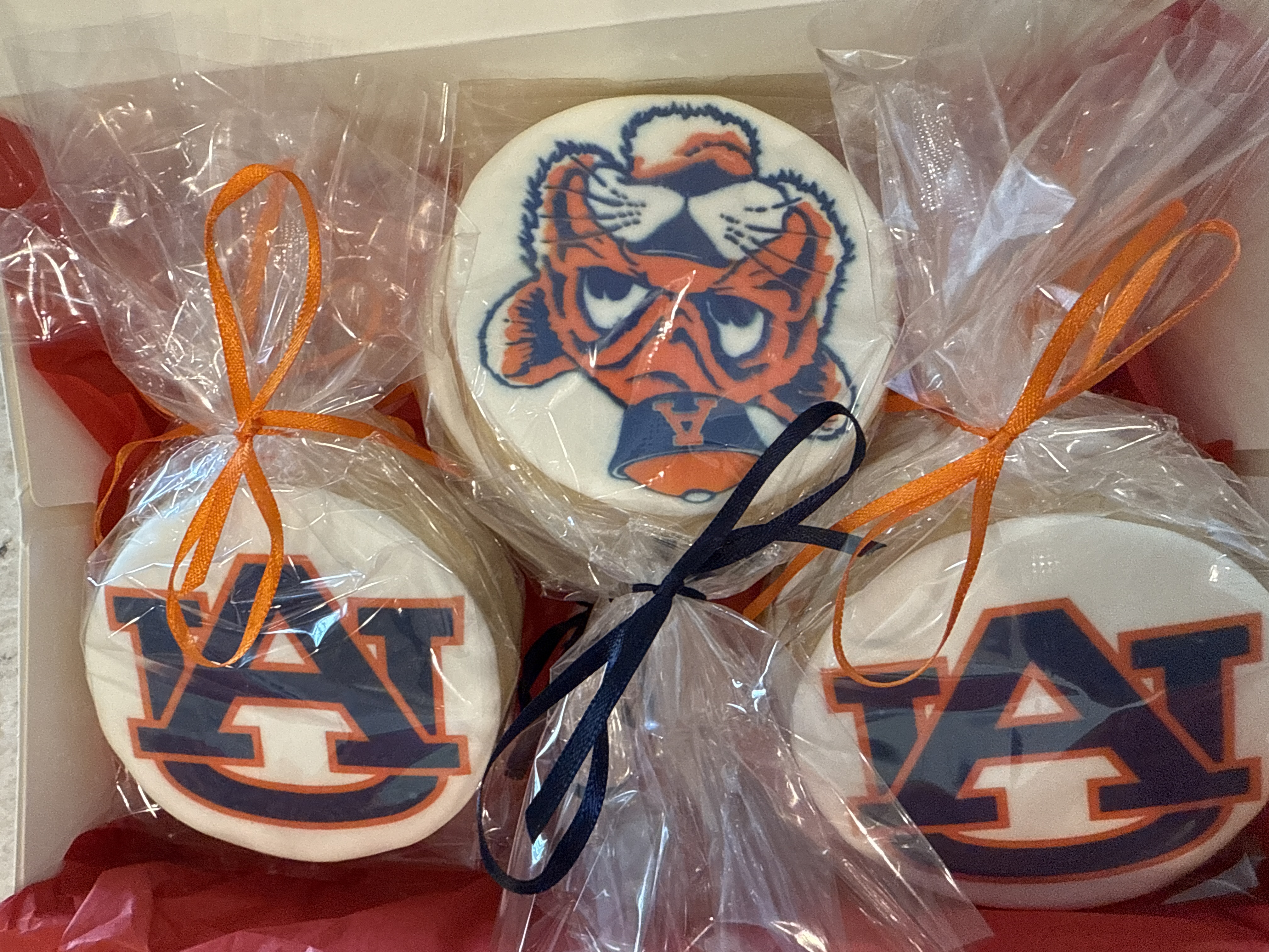 Auburn